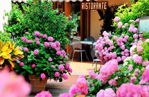 Pienza Casa | Affittacamere Dal Falco