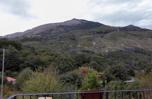 Papasidero Casa | Affittacamere del Romito B&B