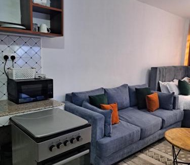 Kasarani Apartamento | Affordable Studio Apartment Kasarani Seasons