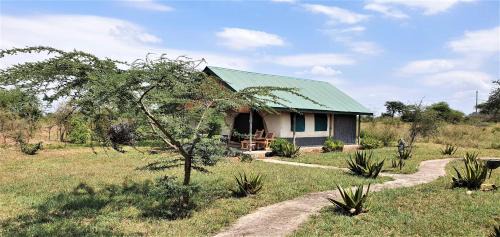 Serengeti National Park Cabina | Africa Safari Serengeti Ikoma