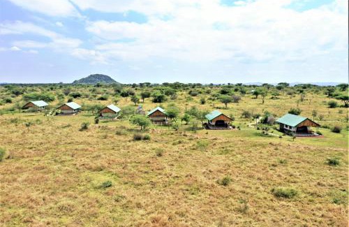 Serengeti National Park Cabina | Africa Safari Serengeti Ikoma
