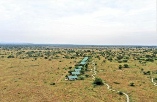 Serengeti National Park Cabina | Africa Safari Serengeti Ikoma