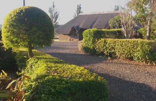 Mkhondo Cama Y Desayuno | African Flair Country Lodge
