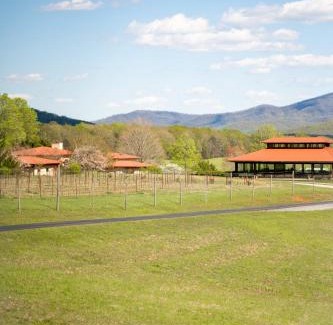 Afton Cabina | Afton Mountain Vineyard