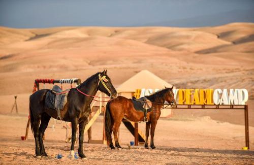 Agafay Otro | Agafay Pearl Camp Marrakech