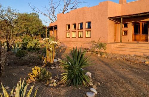 Prince Albert Casa | AGAVE HOUSE