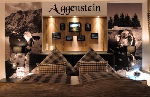 Ried Apartamento | Aggenstein - Helles Studio mit Südbalkon und traumhaftem Bergpanorama in Pfronten Mitte