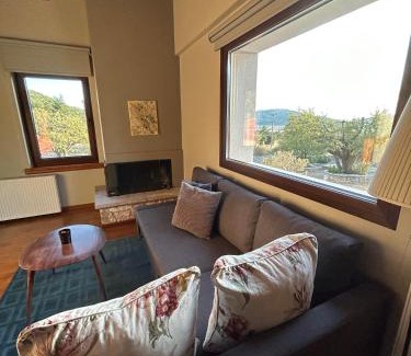 Arachova Casa | Agiannorema