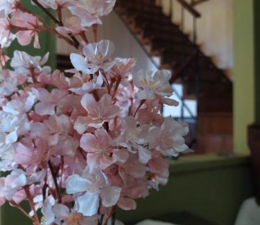 Paliki Casa | Agnadema House