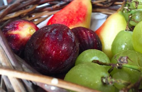 Manduria Cama Y Desayuno | Agorà Suites & Apartments