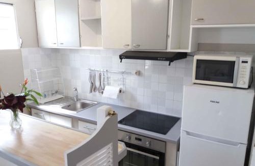 Fort-de-France Apartamento | Agréable F2, jardin, garage, fibre, clim ch
