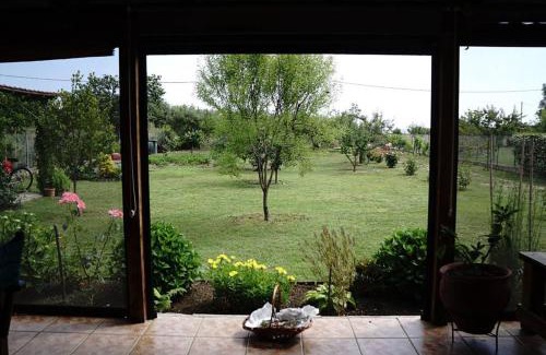 Aristotelis Casa | Agrampeli