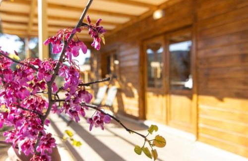 Lefkas Apartamento | AGRELIA HOMES