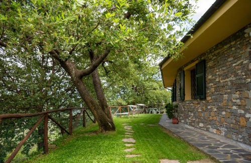 Dolcedo Apartamento | Agri Borgata Vallone - Apartments - by HOST4U