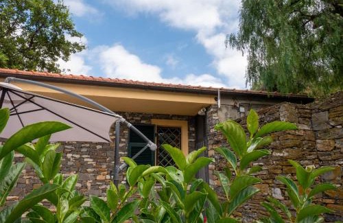 Dolcedo Apartamento | Agri Borgata Vallone - Apartments - by HOST4U