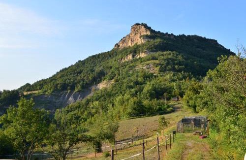 Livergnano Otro | Agricampeggio Cà di Mazza