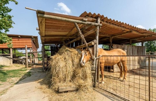 Ospedaletto di Pescantina Chalet De Esquí | Agriturismo La Buona Terra Bio