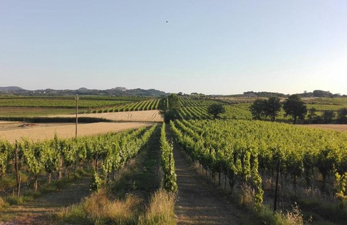 Abbadia di Montepulciano Casa | Agriturismo La Chiesina
