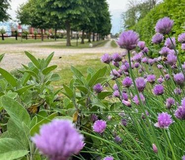 Lavariano Casa | Agriturismo Al Buttasella