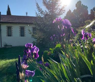 Valfabbrica Casa | Agriturismo Arcobaleno Assisi