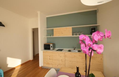 Domaso Apartamento | Agriturismo Badalone