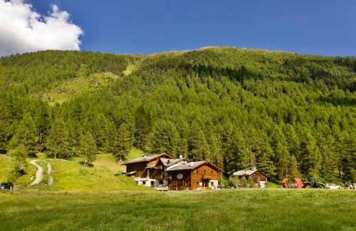 Livigno Apartamento | Agriturismo Bosco d'oro Livigno