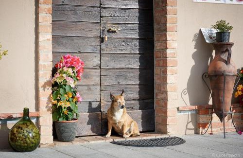 Barolo Casa | Agriturismo Cascina Sciulun