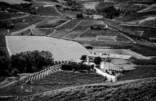 Barolo Casa | Agriturismo Cascina Sciulun