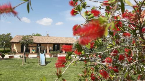 Grosseto Casa | Agriturismo Corte degli Angeli