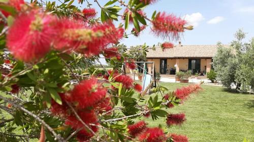 Grosseto Casa | Agriturismo Corte degli Angeli