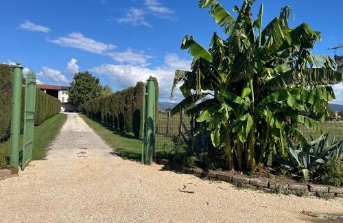 Pescantina Apartamento | Agriturismo Corte Bonetti - Appartamento Il Salice