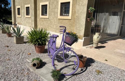 Pescantina Apartamento | Agriturismo Corte Bonetti - Il Platano