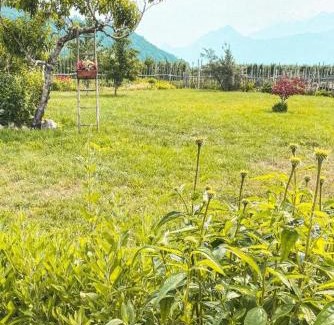 Caldonazzo Casa | AGRITURISMO DAL PEROTIN