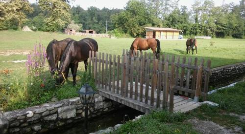 Oleggio Casa | Agriturismo Helianthus