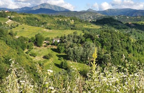 Lerma Casa | Agriturismo Il Burlino Apartments