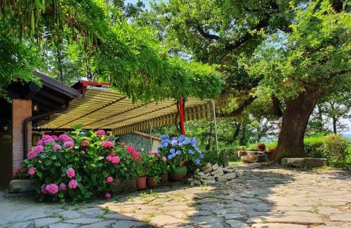 Lerma Casa | Agriturismo Il Burlino Apartments