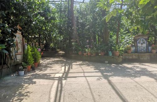 Marina di Puolo Casa | Agriturismo Il Giardino di Vigliano