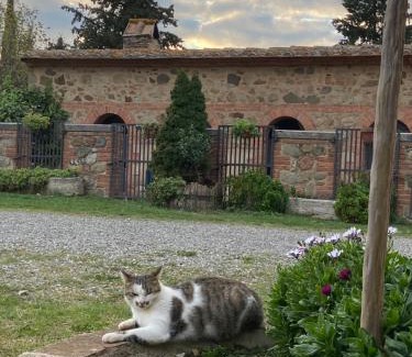 Castiglione d'Orcia Apartamento | Agriturismo Il Pozzo