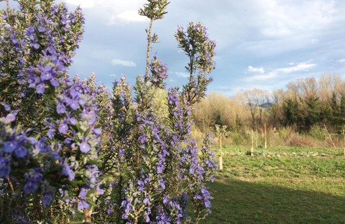 Carpena Casa | Agriturismo Il Pettirosso