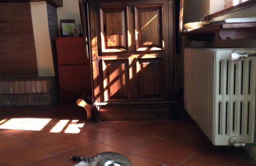 Carpena Casa | Agriturismo Il Pettirosso