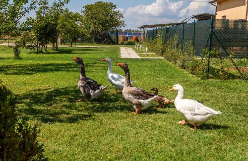 Grosseto Casa | Agriturismo il Pollino