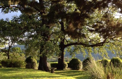 Vaiano Casa | Agriturismo Il Ponticello