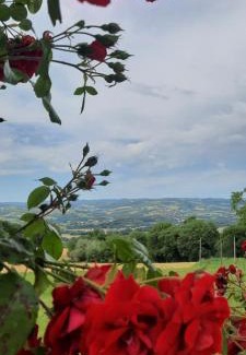 Loreto Casa | Agriturismo Il Truffarello TODI