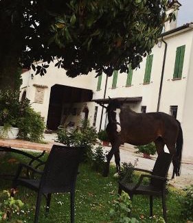 San Giorgio di Mantova Casa | Agriturismo Loghino Caselle