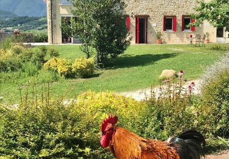 San Pietro di Feletto Cama Y Desayuno | Agriturismo Lemire