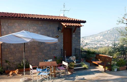 Piano di Sorrento Casa | Agriturismo L'Olivara