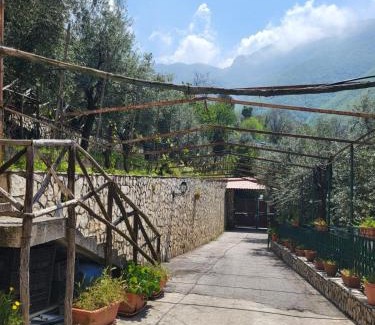 Gragnano Casa | Agriturismo L'Uliveto