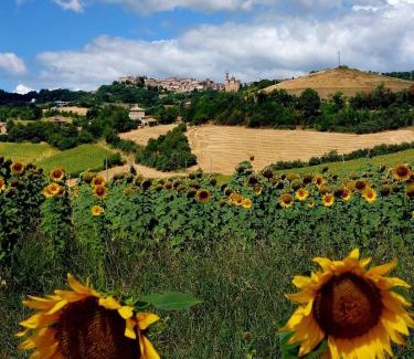 Cossignano Casa | Agriturismo la casa degli amici