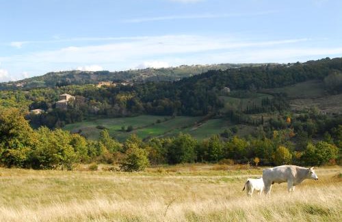 Vivo dʼOrcia Apartamento | - Agriturismo La Piaggia - forest view apartment on the ground floor 2 guests