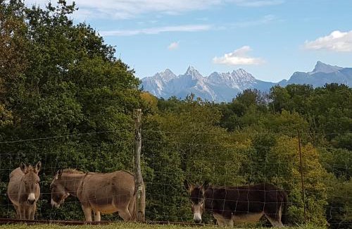 Masero Casa | Agriturismo La Selva